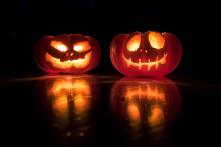 pumpkins for a halloween kitchen