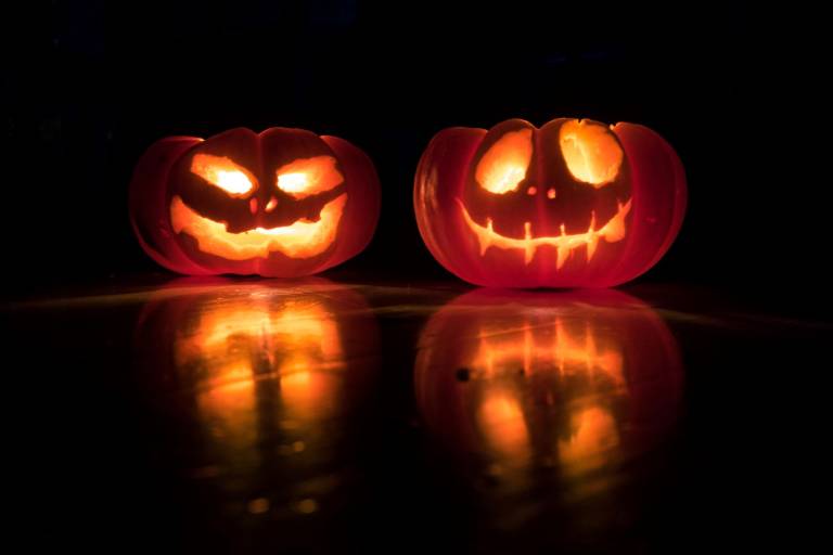 pumpkins for a halloween kitchen