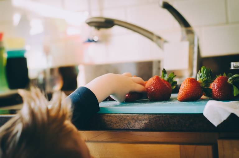 child picking up fruit