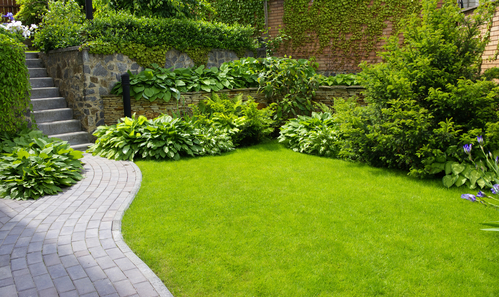 Garden with a stone path and steps