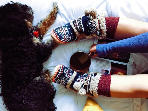 A girl on a bed, reading with a warm drink and a dog