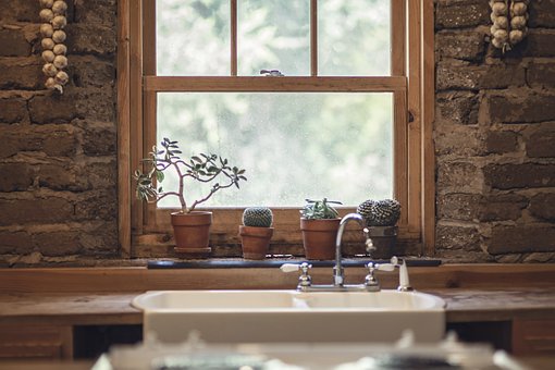 Cacti on a windowsill above a sink