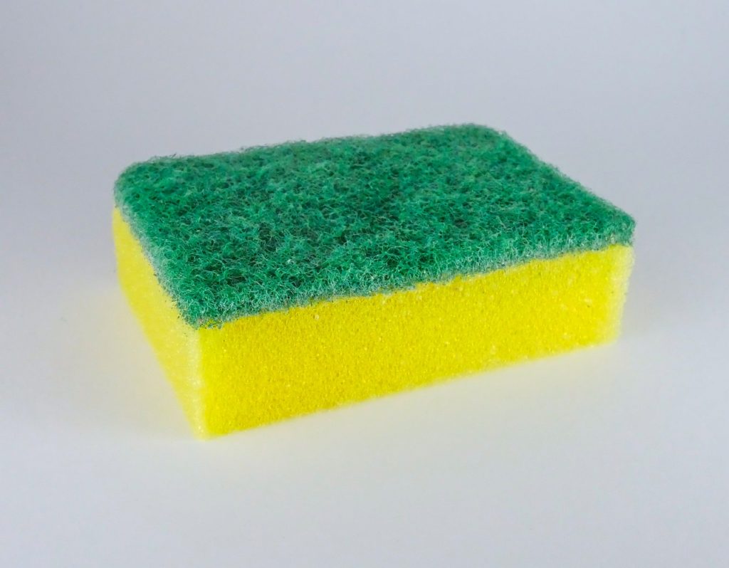 kitchen sponge