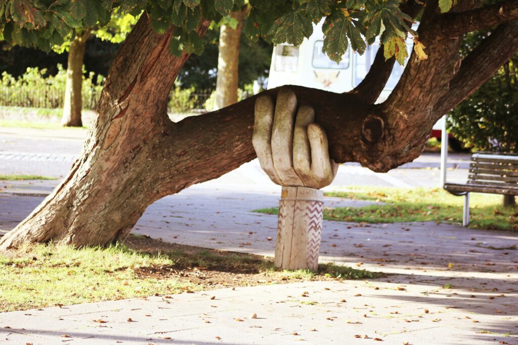 a hand supporting a tree branch